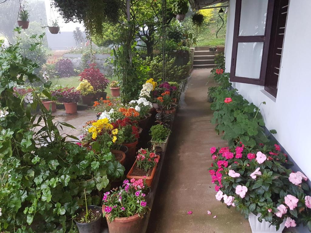 un giardino pieno di diversi tipi di fiori di Rheinberg Town Haus a Munnar