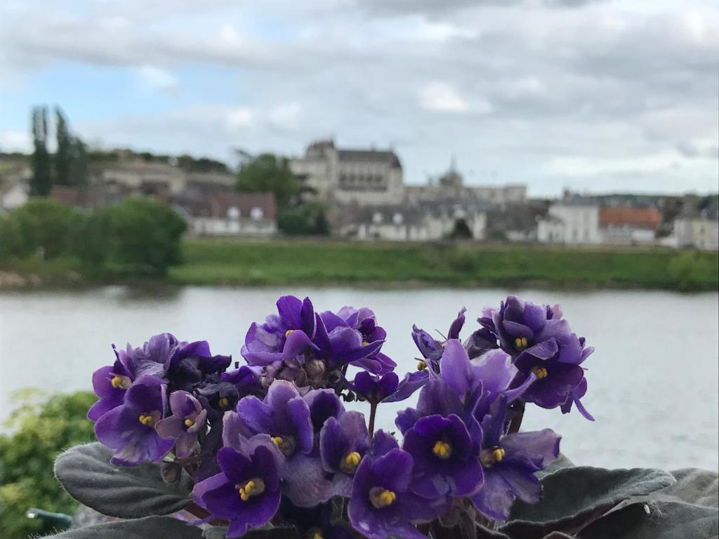 アンボワーズにあるLes Studios de Soizickの川前紫花束