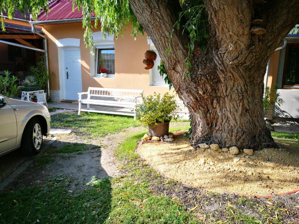 a tree in front of a house with a plant at City Camping& Apartman &Bungalow in Győr