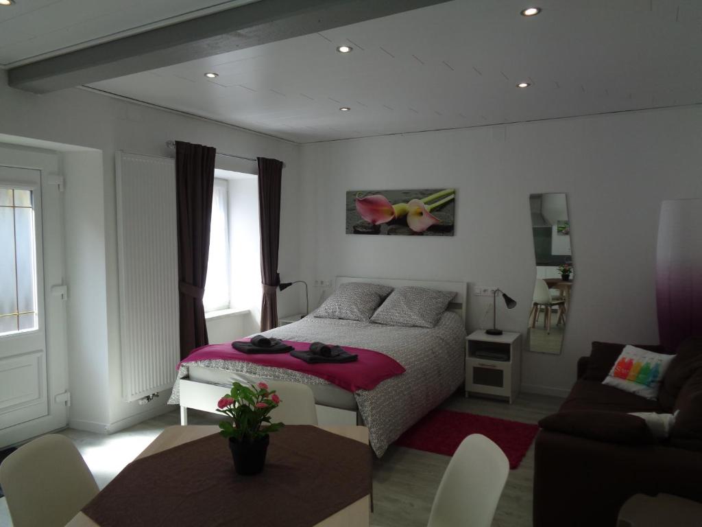 een slaapkamer met een bed en een woonkamer bij Studio Gite Fischer Ottrott in Ottrott