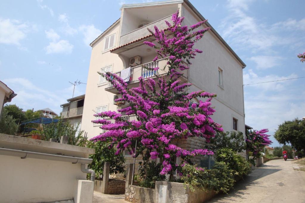 un bâtiment avec des fleurs violettes sur son côté dans l'établissement Apartmani Gojko, à Sali