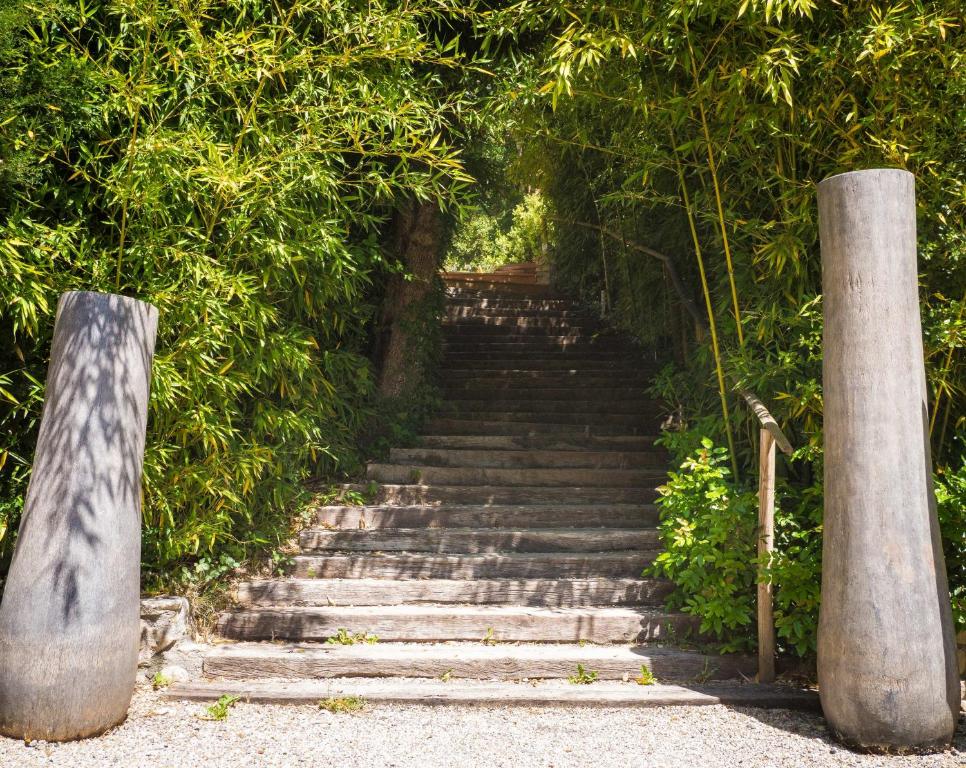 a set of stairs in a garden with trees at Le Belvedere in Vallon-Pont-dʼArc