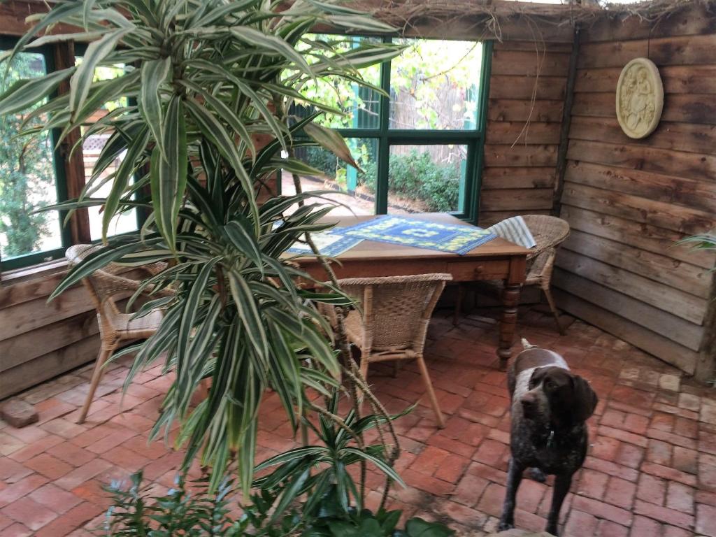 a black dog standing next to a table in a house at Peppercorns B&B in McLaren Vale
