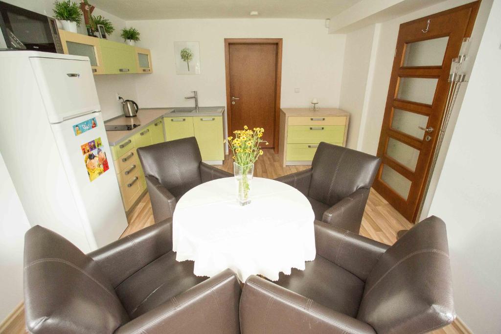 Kuchyň nebo kuchyňský kout v ubytování Apartmán Harrachov se zahradou