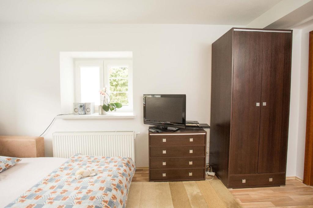 TV a/nebo společenská místnost v ubytování Apartmán Harrachov se zahradou