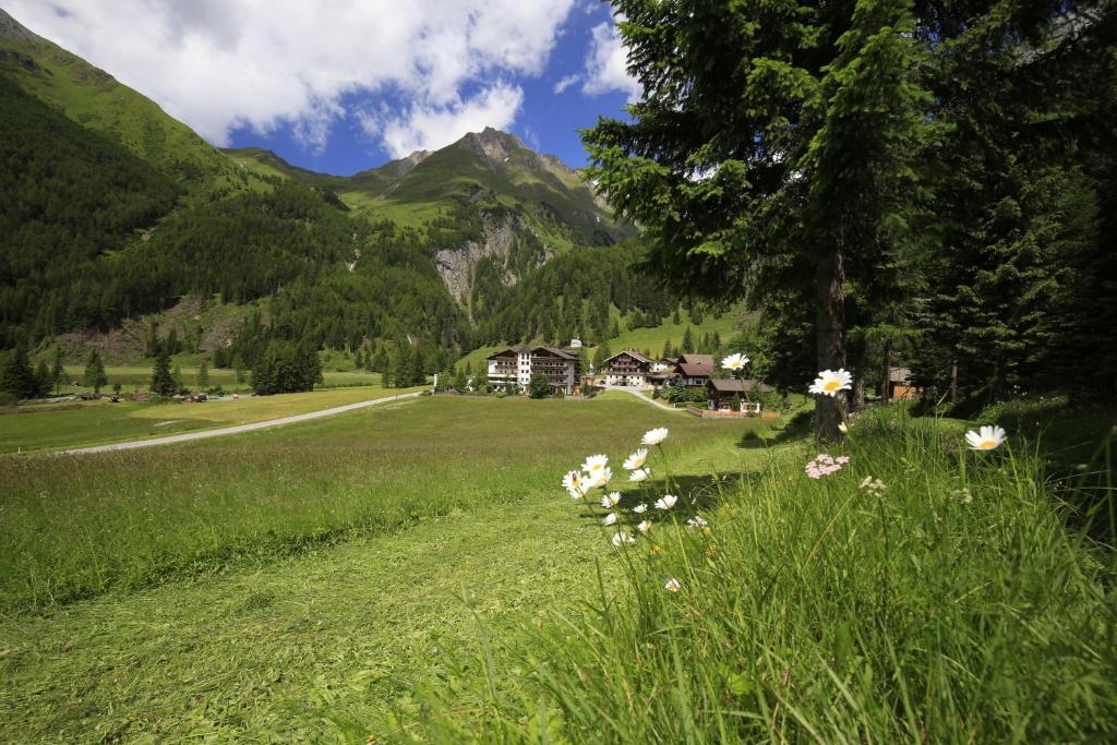 un champ herbeux avec une maison dans les montagnes dans l'établissement Wanderhotel Taurerwirt, à Kals am Großglockner