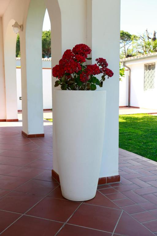 Vonkajšia záhrada v ubytovaní L'ippocampo Guest House