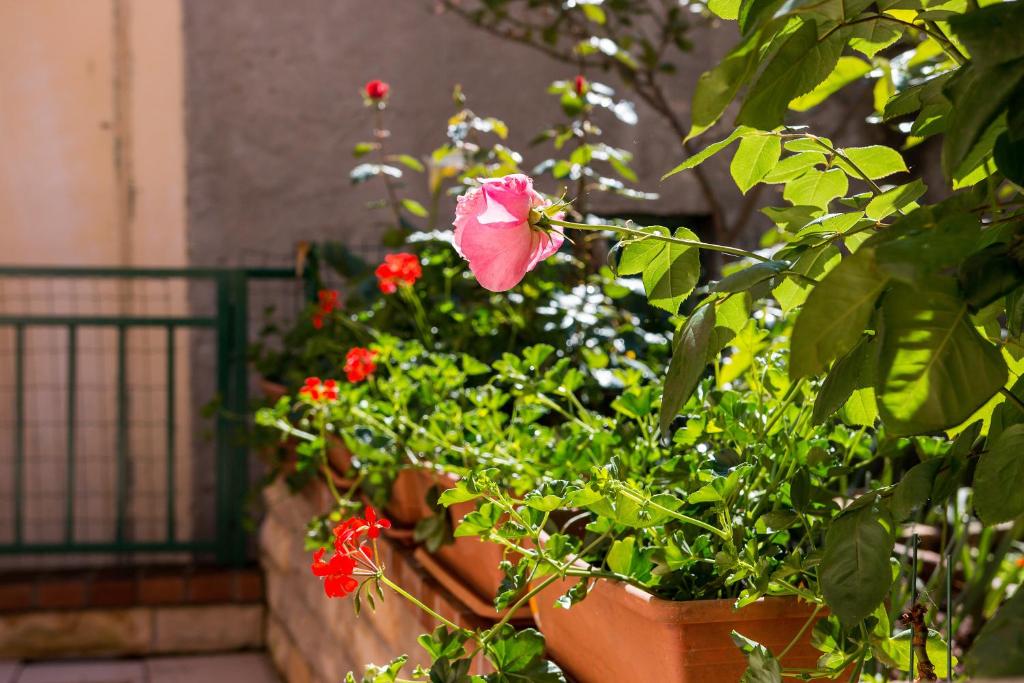 Vonkajšia záhrada v ubytovaní Apartments Leila