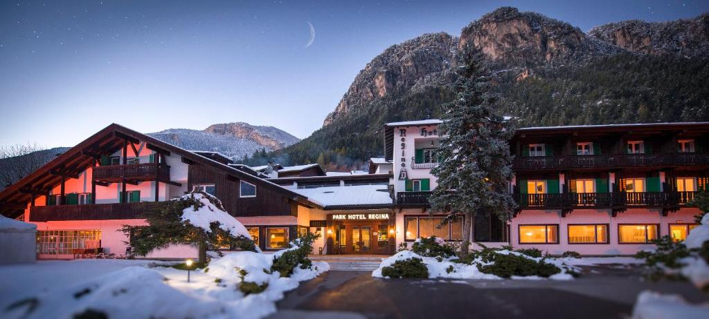 Hotel Regina Delle Dolomiti v zime