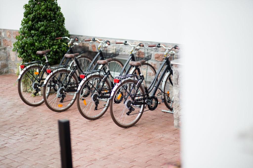 Jízda na kole v ubytování Villa Magalean Hotel & Spa nebo okolí