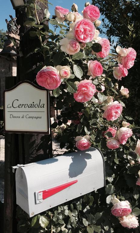Zdjęcie z galerii obiektu Agriturismo La Cervaiola Piccola dimora di Campagna w mieście Porano