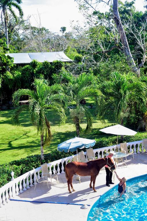 Banana Bank Lodge & Jungle Horseback Adventures, Belmopan (updated ...