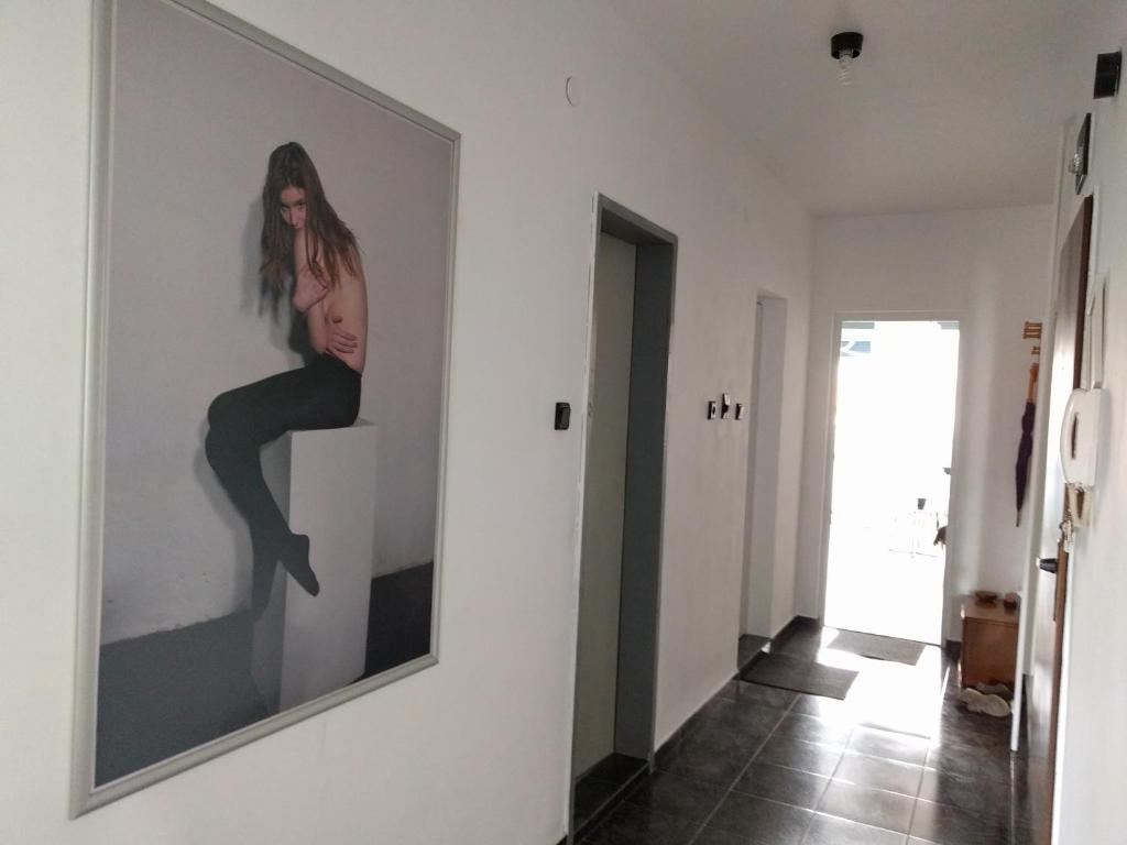 een schilderij van een vrouw op een muur in een hal bij Modern flat near downtown Plovdiv in Plovdiv