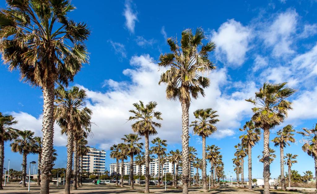 Valencia/Mare Nostrum, Valencia – Updated 2023 Prices