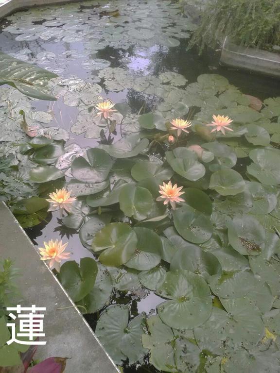 Fotografie z fotogalerie ubytování Taitung Linyuan B&B v destinaci Donghe