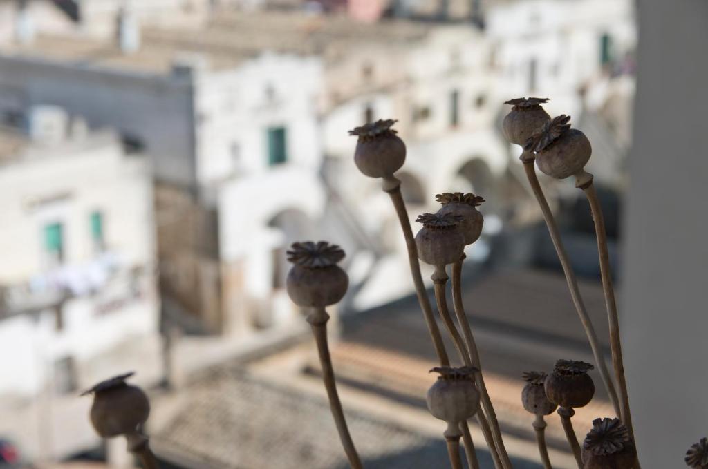 Foto dalla galleria di Limen Matera Guesthouse a Matera
