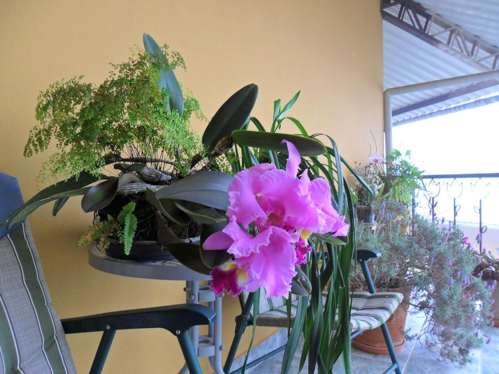  Pousada Morada das Nuvens