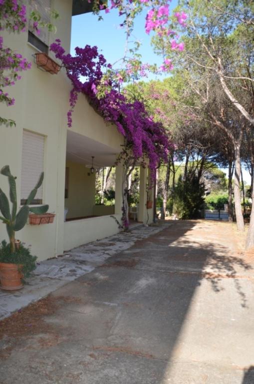 Zdjęcie z galerii obiektu Vacanze Sardegna Mare San Giovanni Posada w mieście Posada