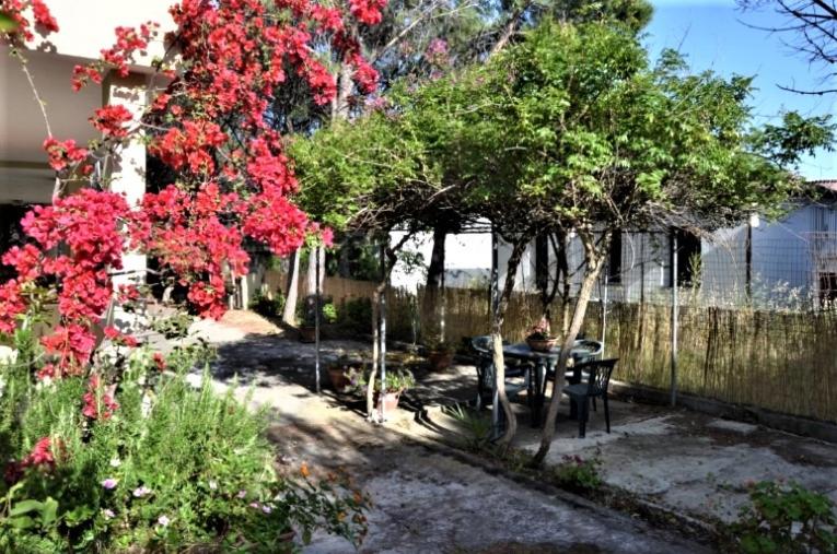 Ogród w obiekcie Vacanze Sardegna Mare San Giovanni Posada