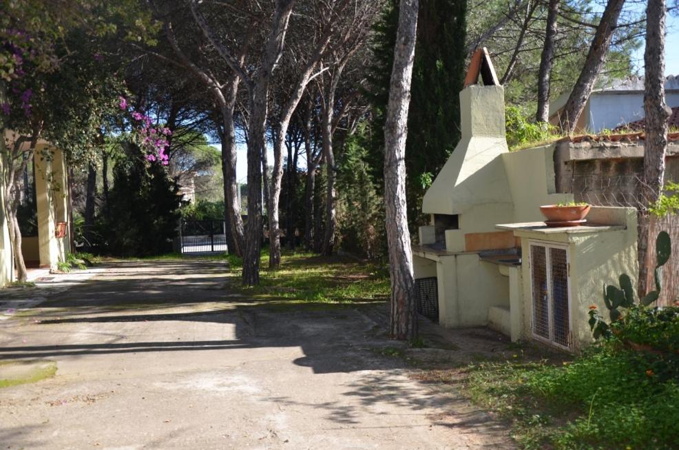 Ogród w obiekcie Vacanze Sardegna Mare San Giovanni Posada
