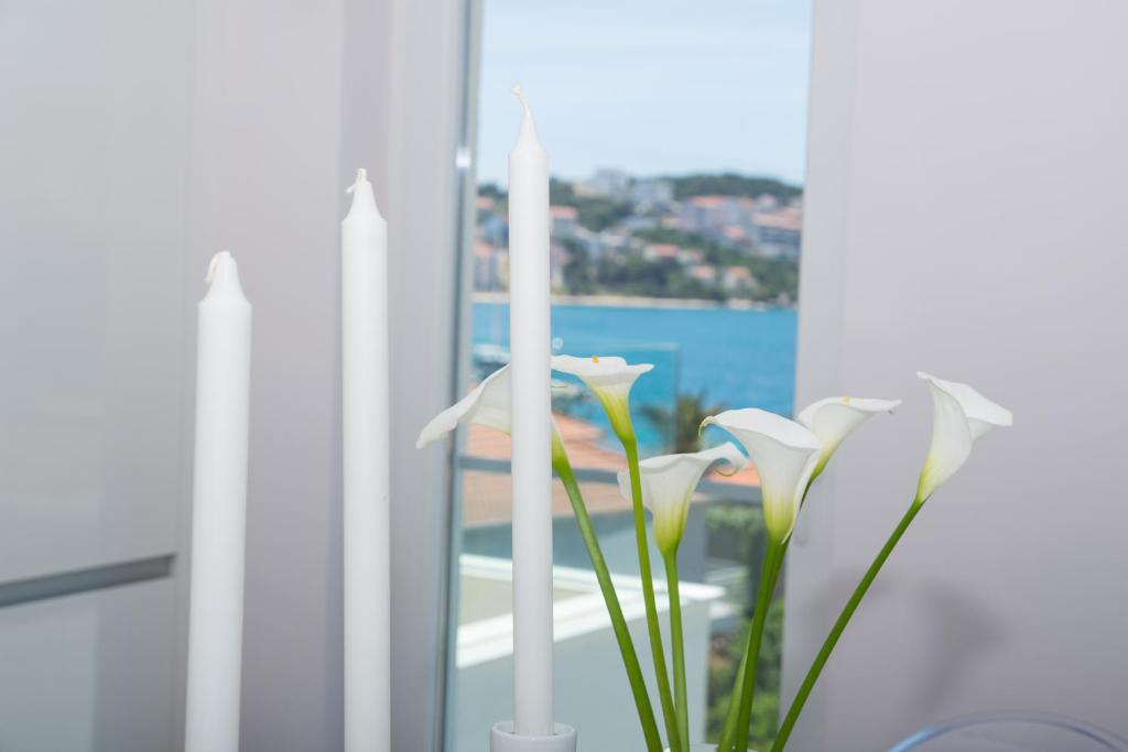 Príroda v okolí apartmánu