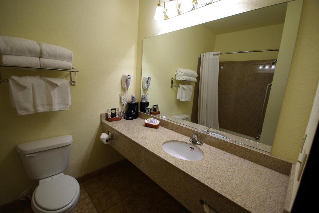 Mountain Inn & Suites Airport - Hendersonville - Deluxe Queenskamer Met Twee Queensize Bedden