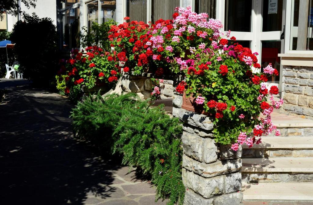 Zahrada ubytování Hotel Puccinelli