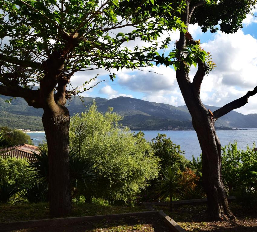 deux arbres avec vue sur une masse d'eau dans l'établissement le relais de tiuccia, à Casaglione