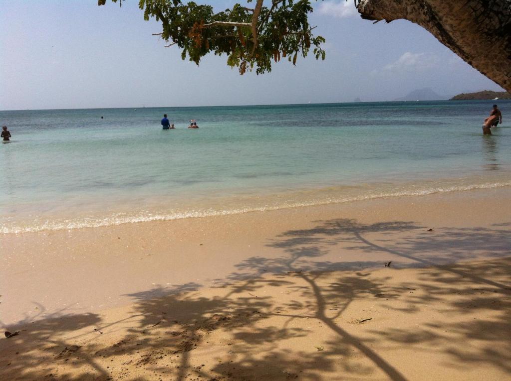 Un groupe de personnes dans l'eau à la plage dans l'établissement Maison de Vacances à St Anne Martinique, à Sainte-Anne