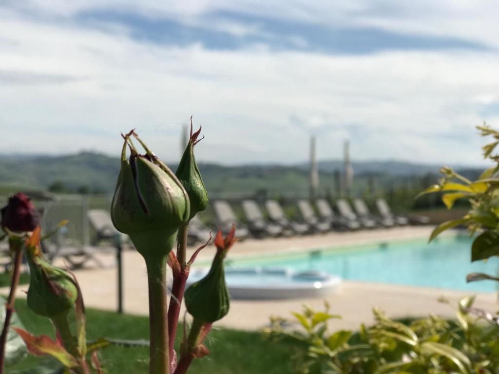 Bazén v ubytovaní NaturalMente Wine Resort alebo v jeho blízkosti