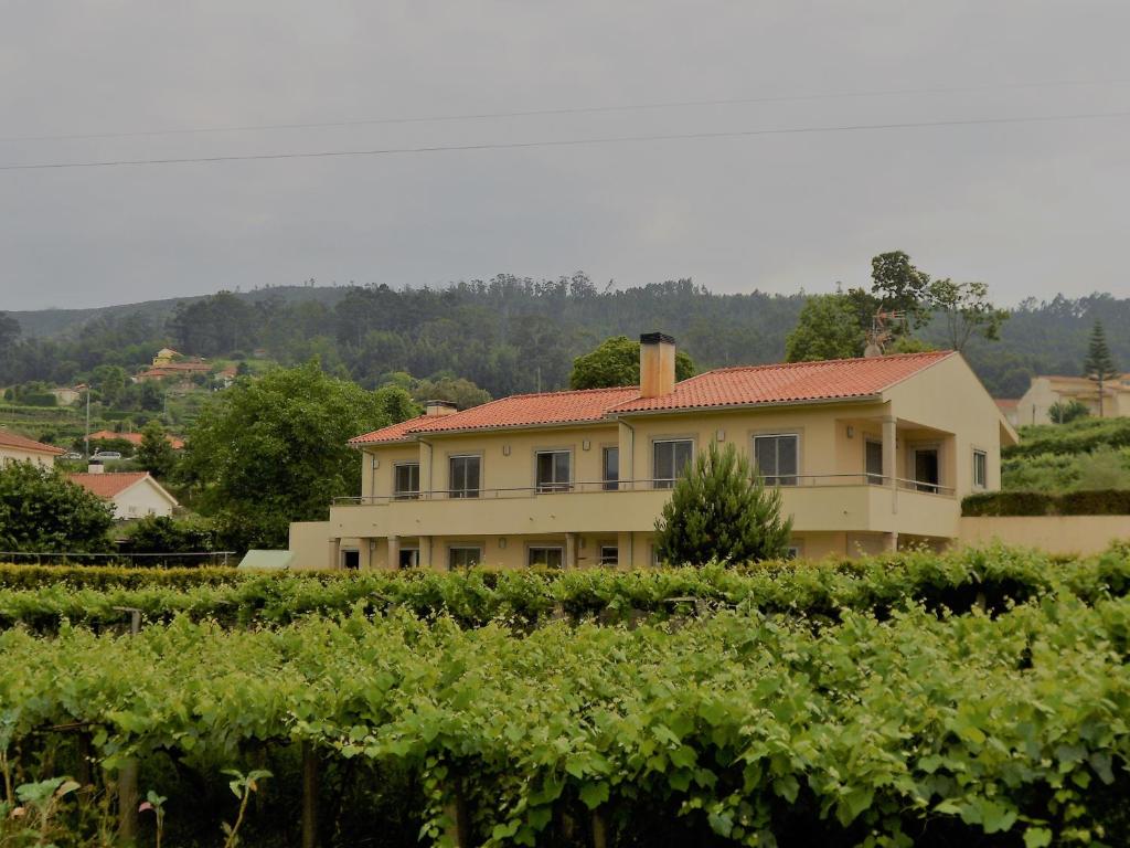a house in the middle of a field of grapes at Casa Vilarelho in Caminha