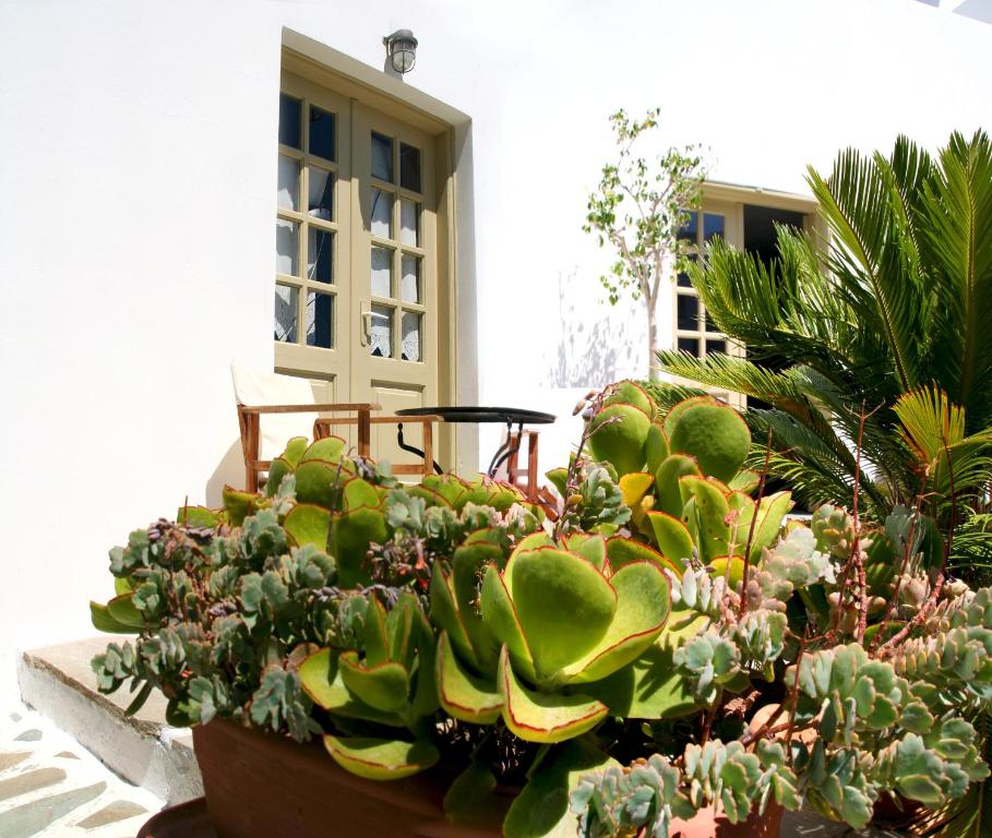 Zahrada ubytování Vidalis Hotel