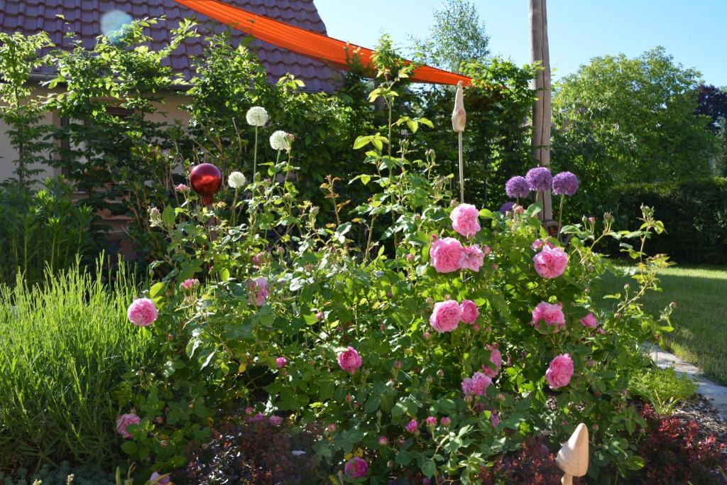 Ferienappartements "Landromantik" - 15