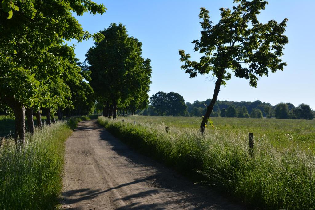 Ferienappartements "Landromantik" - 19