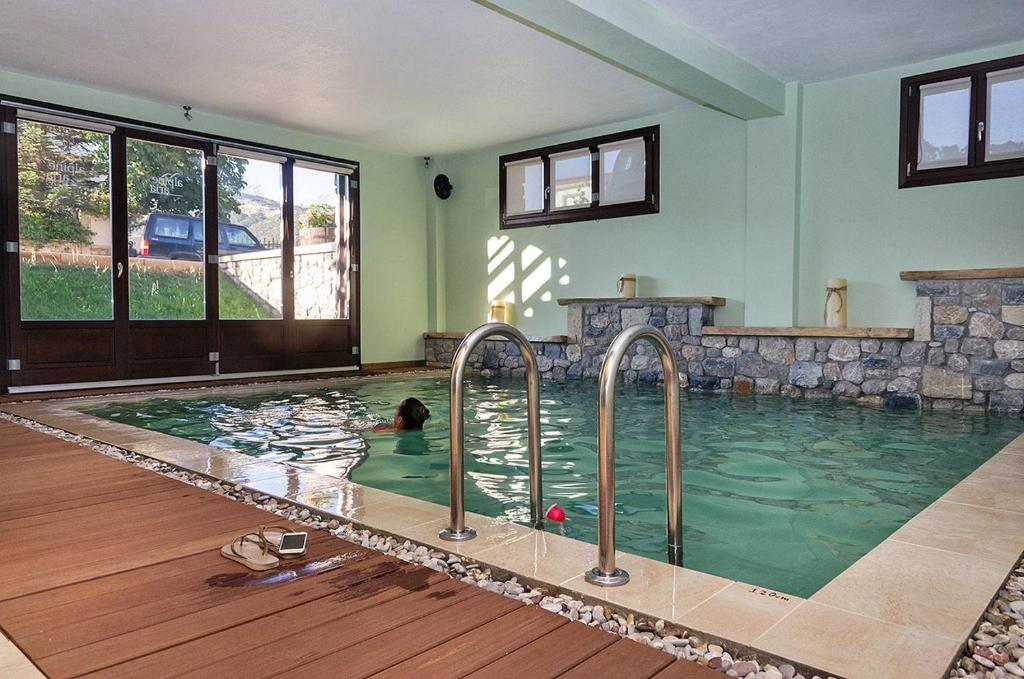 a swimming pool with a dog in the water at Alpine Aria in Kalavrita