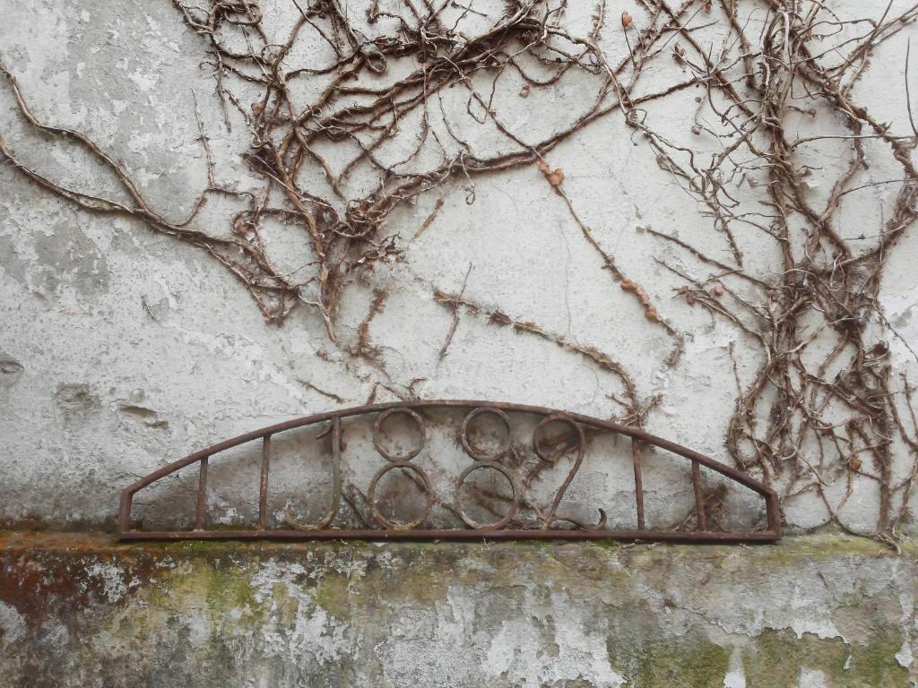 an old iron grate on a wall with vines at ilab rural bed&breakfast in Navia