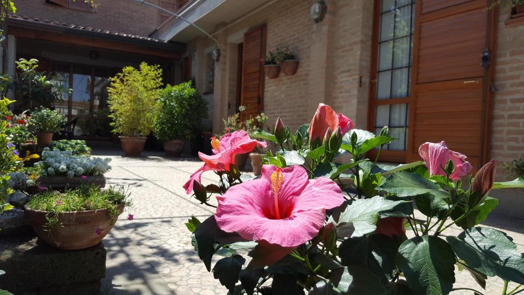 Zahrada ubytování B&B ENSILEVA BEACH