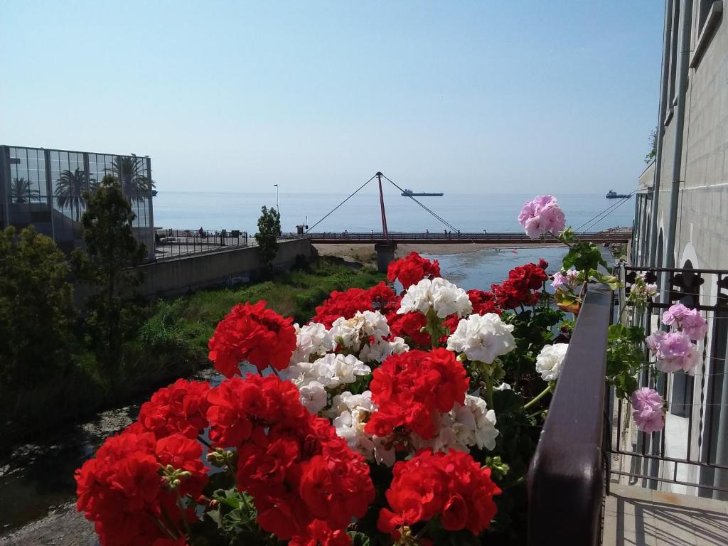 un montón de flores rojas y blancas en un balcón en Savonaamare en Savona