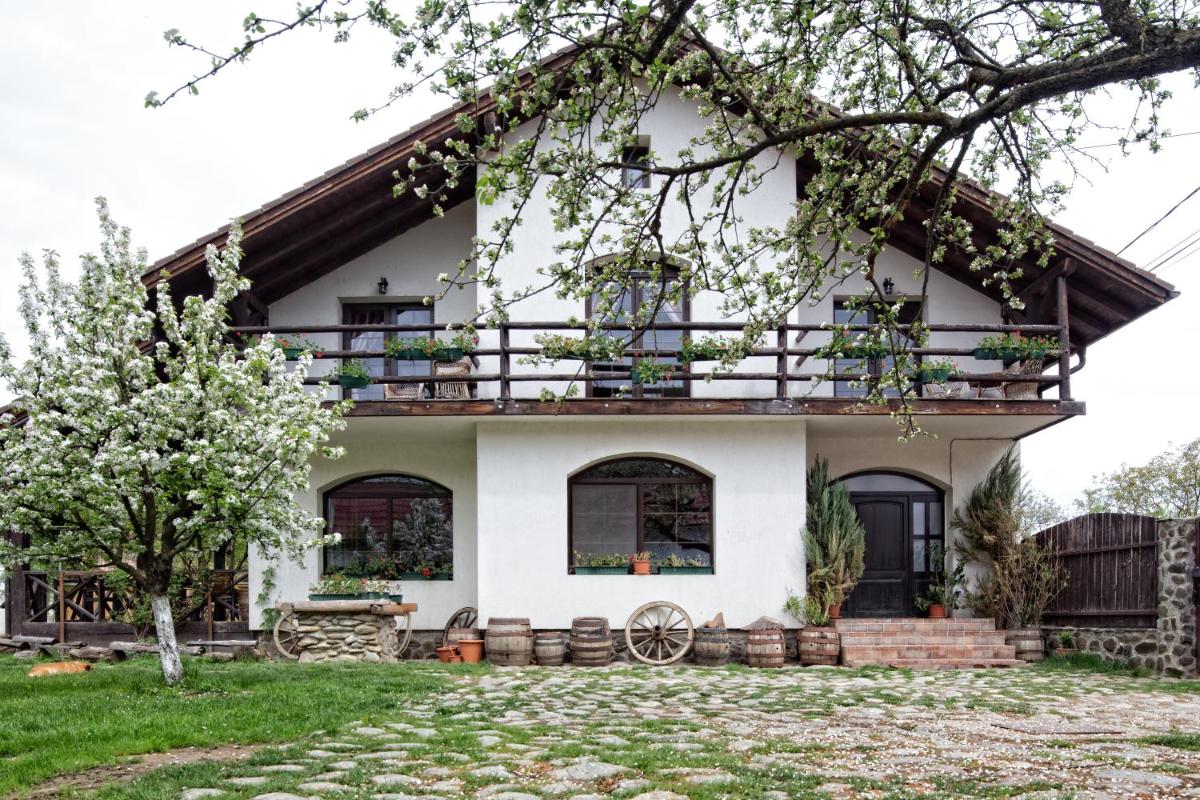 Casa Mosului - Transfăgărășan Bed & Breakfast - Housity