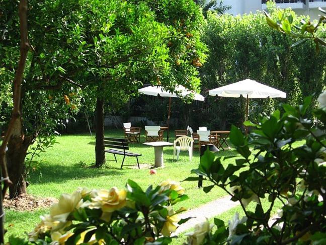 Hotel Marina - Housity