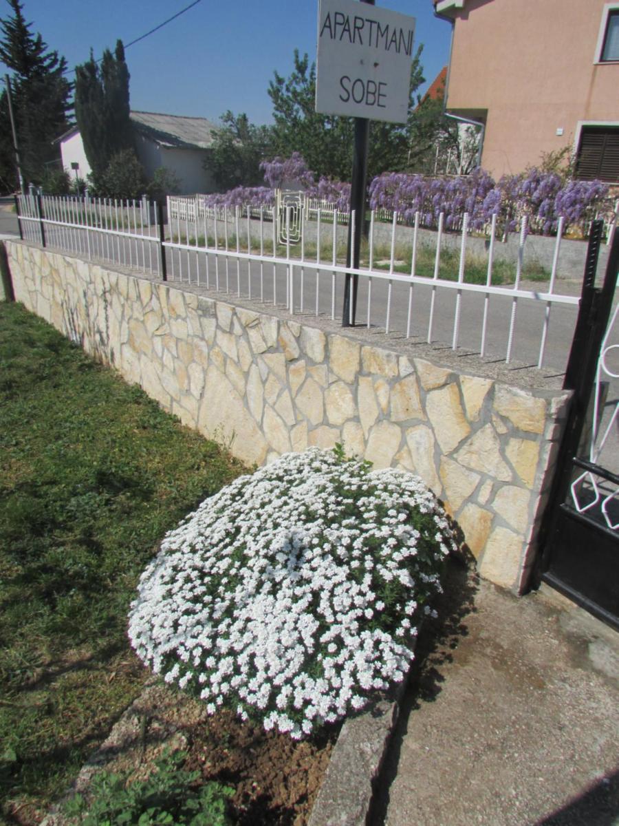 Apartments Jasen - Housity