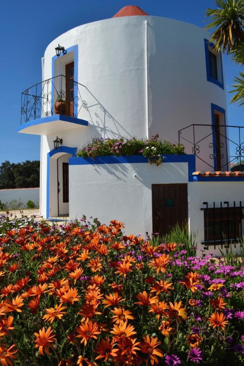 Windmill Hill - Housity