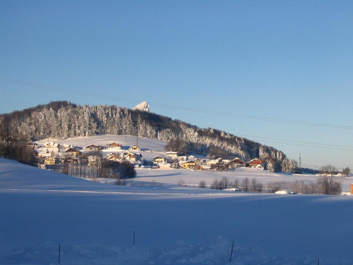 Pension Waldhof - Housity