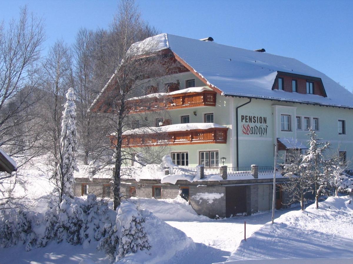 Pension Waldhof - Housity