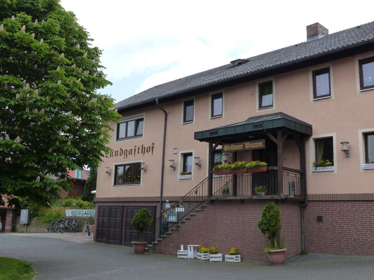 Grüner Baum - Housity
