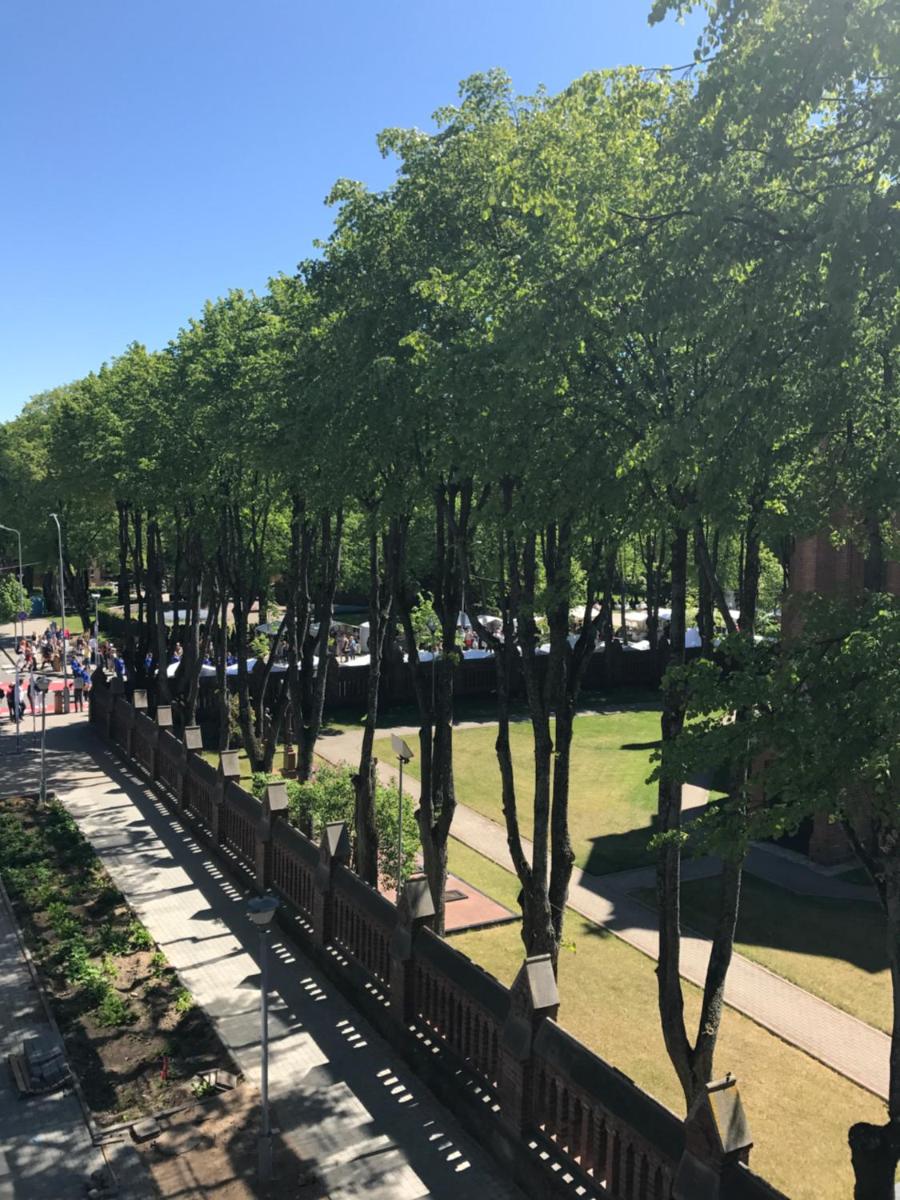 Pas Vilma - Housity