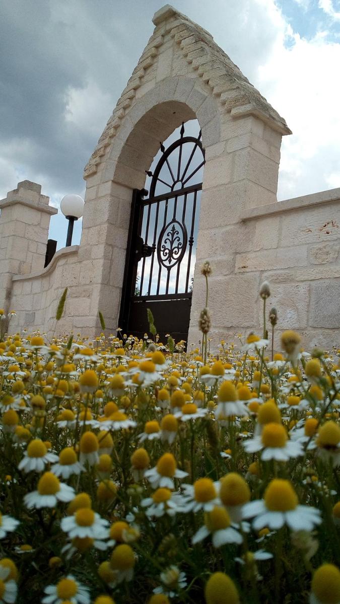 Cuore dei Venti - Housity