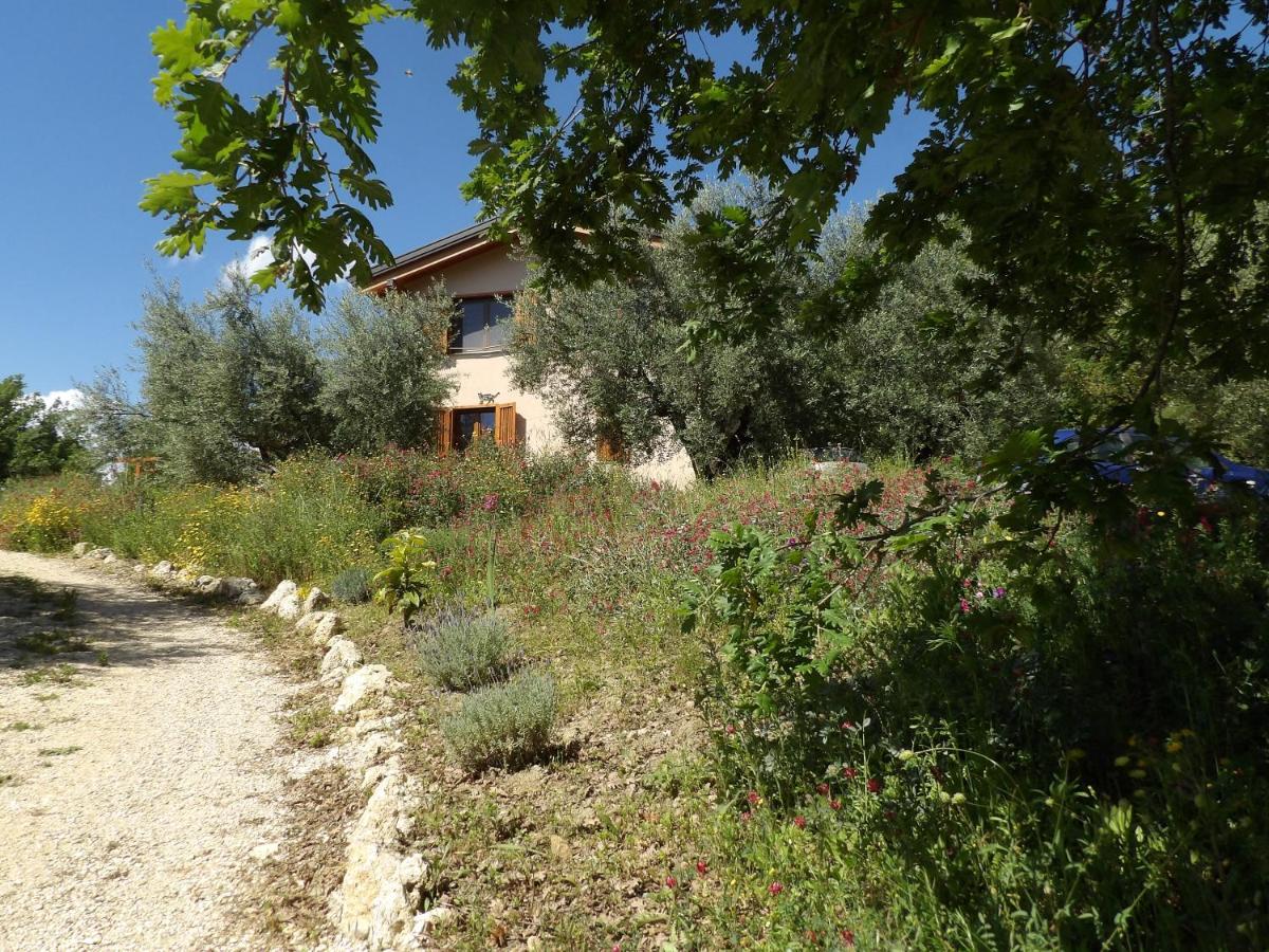 Internal Short Let Minturno Room - Housity