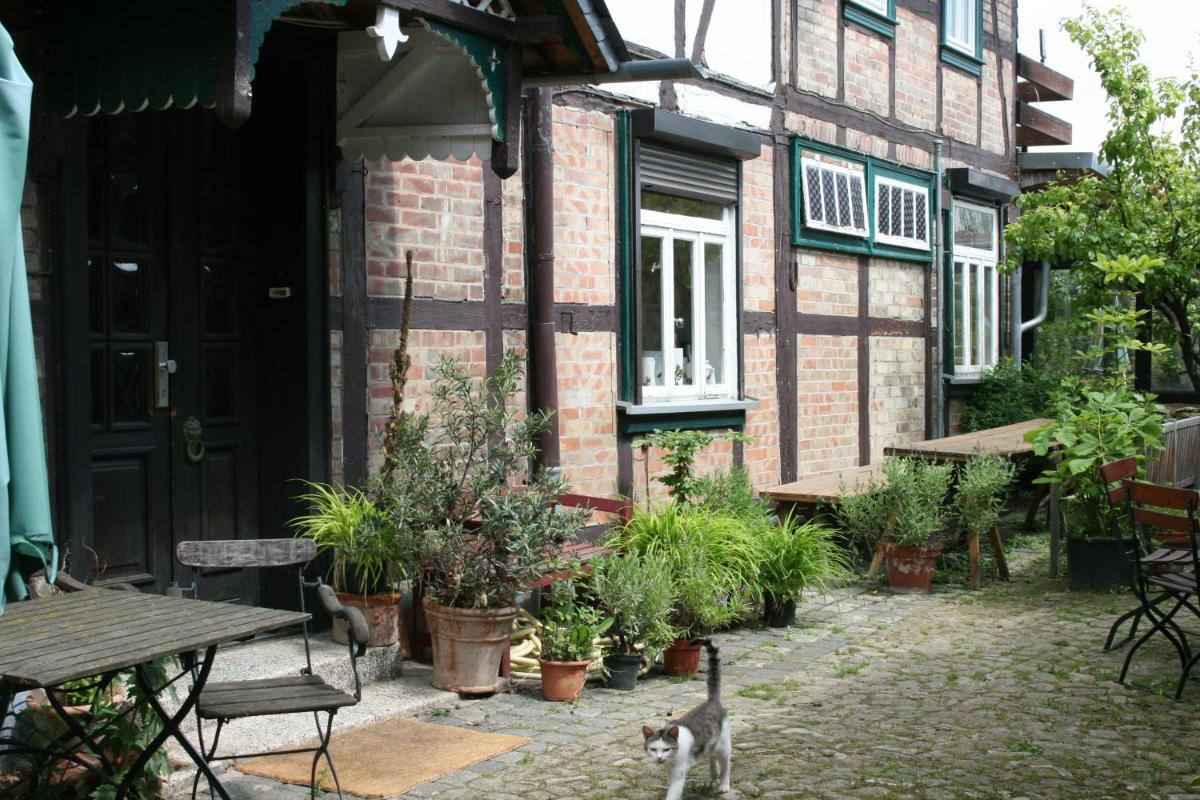 Apartments Café Brennnessel - Housity