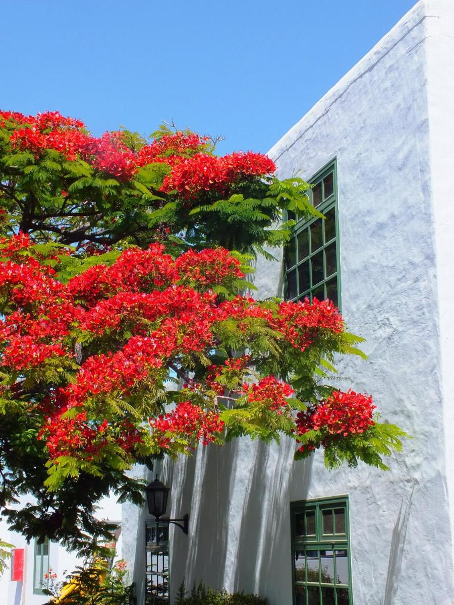 Jardín al aire libre en Casas Heddy, Well-being Resort
